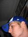 lvslugger21 photo # 2