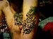 MADEiNDADE305 photo # 2