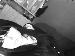 MadameDouleurx photo # 1