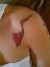 Mathem1013 photo # 6