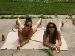 mariaml photo #13