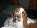 marnix photo # 4