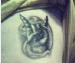 metalman420 photo # 1