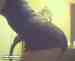 MiZzPreshuZ photo # 9