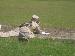 Mike61 photo # 1