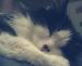 Mike_20 photo # 2