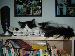 Mike_20 photo # 7