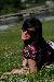 Mimmu2323 photo # 7
