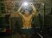 MMA4Life photo # 1