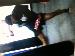 Mmafighter703 photo # 15