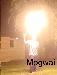 Mogwai photo # 10