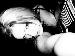 MorbidLove photo # 7