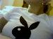 motoxbaby1 photo # 6