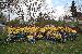mr_hockey31 photo # 4