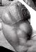musclelife photo # 2