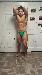 muscles312 photo # 4