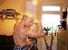 muscleskater26 photo # 1