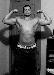 muscless photo # 4