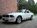 mustangjoe photo # 3