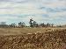 mx_guy07 photo # 1