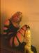 mzliptious photo # 3