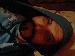 n8420son photo # 1
