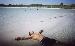 N_FlaBoy06 photo # 1