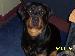 Nagle_530 photo # 4