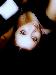 NaughtyGirl23 photo # 3