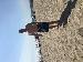nate812 photo # 3