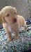 natedogg323 photo # 1