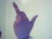 ndn_passion photo # 2