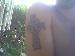 ngm427 photo # 7