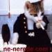 ocean84 photo # 2