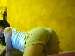 On1ySweet photo # 7