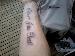 oneil8323 photo # 5