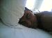 onepage69 photo # 1