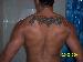 Orton88 photo # 2