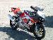 panther29 photo # 2