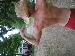partyboy585 photo # 1