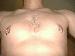 pelchos photo # 1