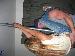peter1698 photo # 8