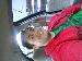 phil420 photo # 1