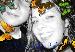 PIXYDUST27 photo # 2