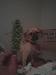 pman442200 photo # 6