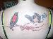 pookie905 photo # 4