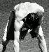 pureepicness photo # 1