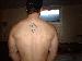 qubert69 photo # 3