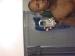 R_B_L photo # 1
