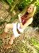 Rachyxx photo # 5
